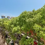 Eco Luxury Lisboa-campo De Ourique Apartment *