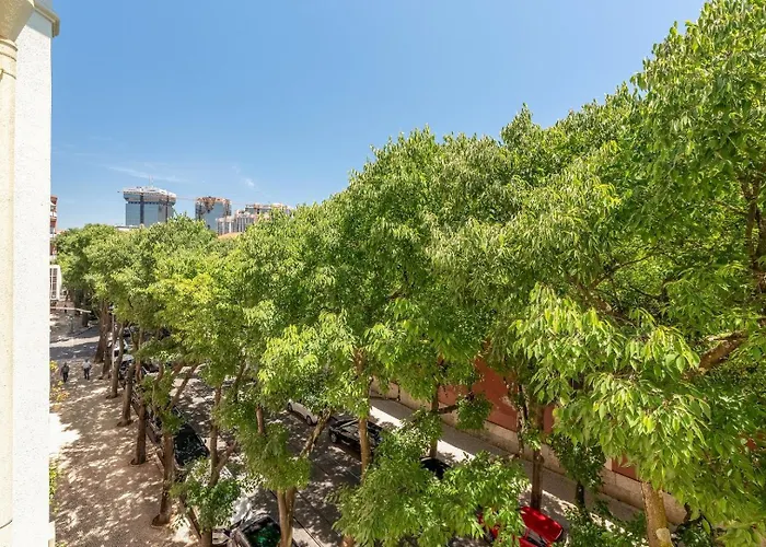 Eco Luxury Lisboa-campo De Ourique 아파트 *